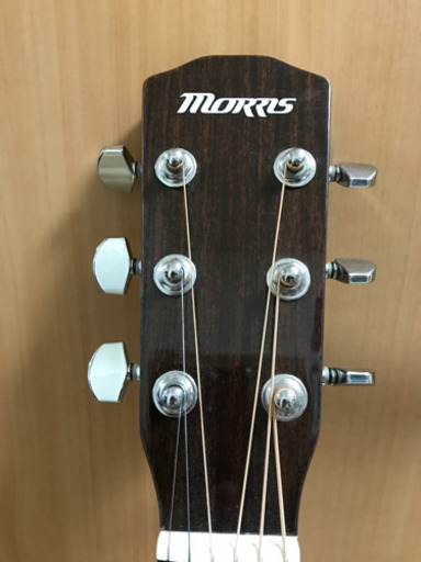 Morris(モーリス) 左利き アコースティックギター