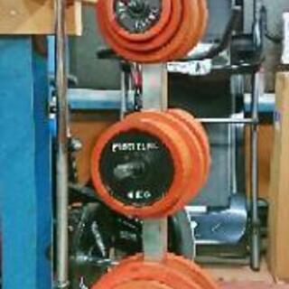 ファイティングロード  プレート合計122.5kg  ロングシャフト1本  シャフト2本セット