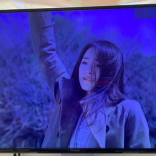 Panasonic ハイビジョン液晶テレビ TH-49D300 institutoloscher.net