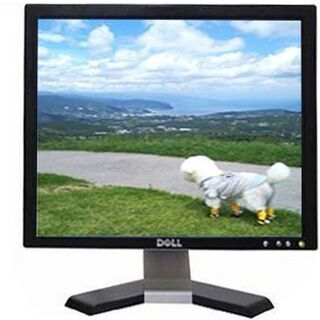 デル DELL 19インチ液晶モニタ①