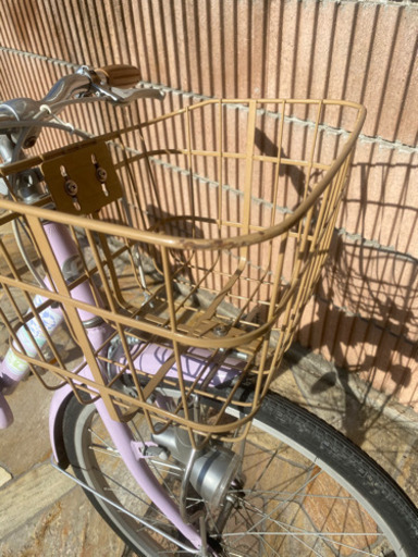 【子供用自転車】22インチ ブリヂストン エコパルモカ