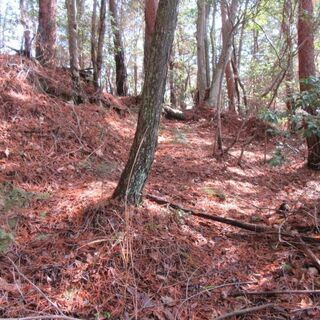 山林と地続きの宅地　2つ合わせて約3400㎡（廃屋付き）（仲介）