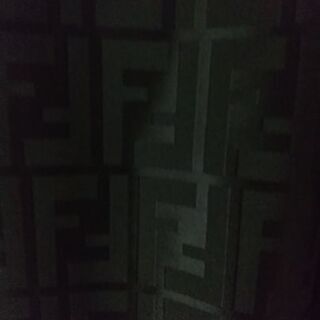 フェンディコート