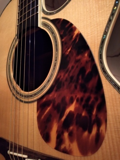 タカミネ Takamine アコースティックギター 50周年記念 【公式通販】