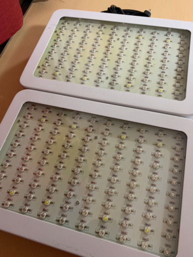 1000w植物育成用LEDライト×2  ＲoＨＳ