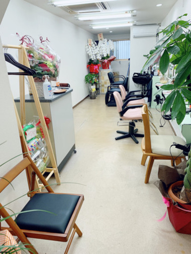 オーガニック白髪染め専門moomin Gabumama 北天下茶屋のヘアサロンの無料広告 無料掲載の掲示板 ジモティー