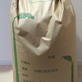 ☆★コシヒカリ玄米30kg★☆