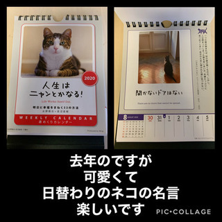 【本日まとめ割タダ❗️】猫カレンダー　名言集