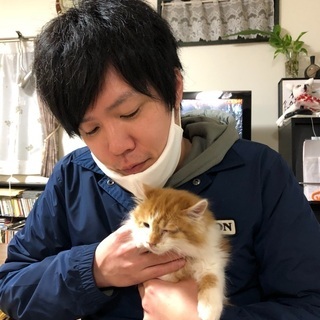 野良の子猫を保護しました。 - 高島市