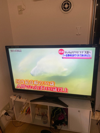 シャープ　AQUOS 52型　テレビ