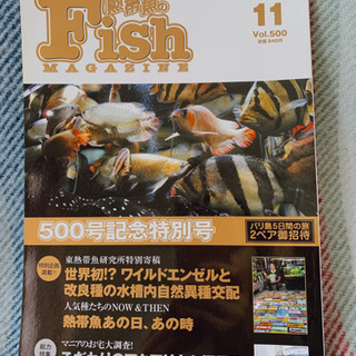 熱帯魚のFish MAGAZINE 500号記念特別号　エンゼル...