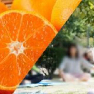 3月20日(土祝日)青空でオレンジ瞑想in庄内緑地公園