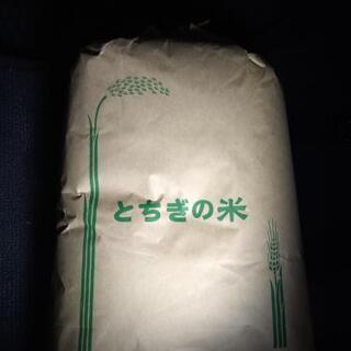 令和２年 栃木県産 とちぎの星 玄米 30キロ あと１袋