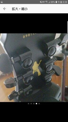 希少✨超美品✨Zakk Wyldeモデルギター ハードケース、ストラップ付き