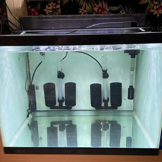 60×45×45 ガラス水槽