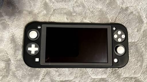 《中古》任天堂switchLight