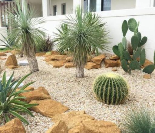 ロックガーデンドライガーデン施工致します A M K Box 都城のその他の無料広告 無料掲載の掲示板 ジモティー