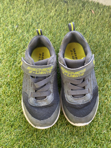 スニーカー男の子16センチスケッチャーズ ちびた 一橋学園の子供用品の中古あげます 譲ります ジモティーで不用品の処分