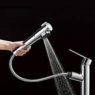 三栄水栓 SANEI シングル浄水器付ワンホールスプレー混合栓 K87580JV-13