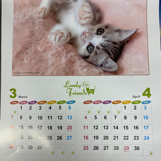 もらって下さい‼️壁掛けカレンダー‼️猫