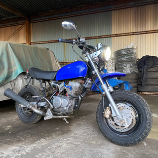 ☆ホンダ エイプ50カスタム多数！自賠責たっぷりキャブ清掃済　機関良好！！神奈川県横浜市から　引き取り限定でお願いします☆ ☆ホンダ エイプ50カスタム多数！自賠責たっぷりキャブ清掃済 機関良好