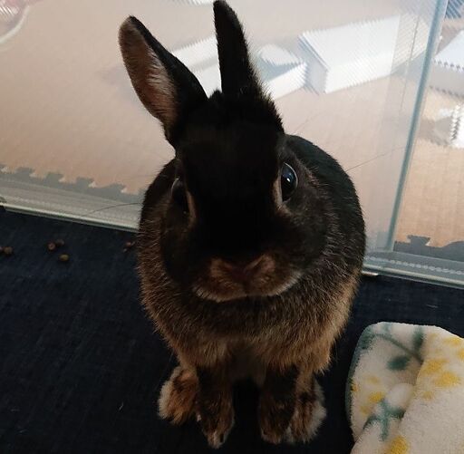 スピリチュアル背中に羽のある感覚の人 Angel373 北のその他のメンバー募集 無料掲載の掲示板 ジモティー