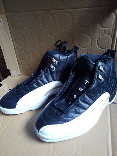 エアジョーダンXII