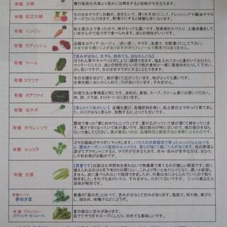 有機野菜を食べるのを手伝ってください