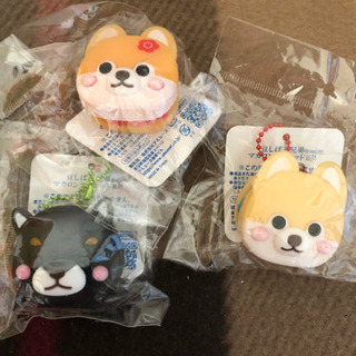 中古豆しば三兄弟が無料 格安で買える ジモティー 中古豆しば三兄弟が無料 格安で買える ジモティー