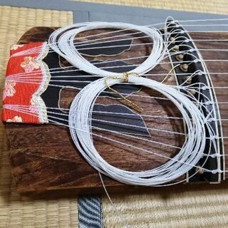 お琴（練習用） sugarbun.com