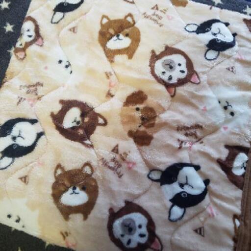 しまむらシングル敷きパッド毛布犬柄 マメ 竜王の家電の中古あげます 譲ります ジモティーで不用品の処分 しまむらシングル敷きパッド毛布犬柄 マメ 竜王の家電の中古あげます 譲ります ジモティーで不用品の処分