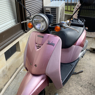 原付ホンダトゥデイ ピンク 【公式通販】