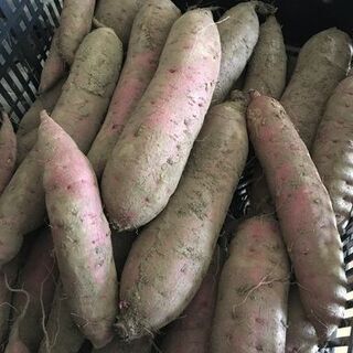 サツマイモ 助け合い ジモティー