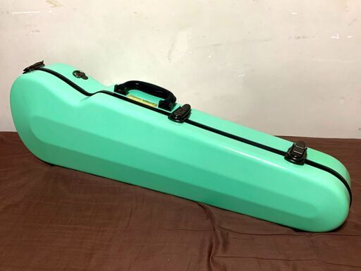 Eastman standard バイオリン 4/4 ハードケース グリーン
