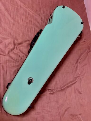 Eastman standard バイオリン 4/4 ハードケース グリーン