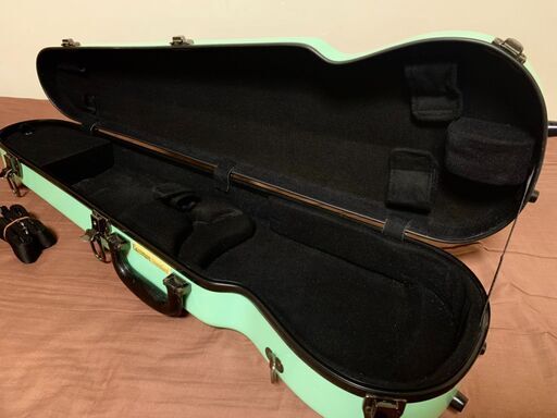 Eastman standard バイオリン 4/4 ハードケース グリーン Eastman