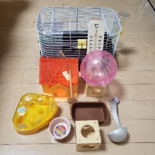 ハムスターはじめて飼育セット一式 Taitaimama 呉の家具の中古あげます 譲ります ジモティーで不用品の処分 ハムスターはじめて飼育セット一式 Taitaimama 呉の家具の中古あげます 譲ります ジモティーで不用品の処分