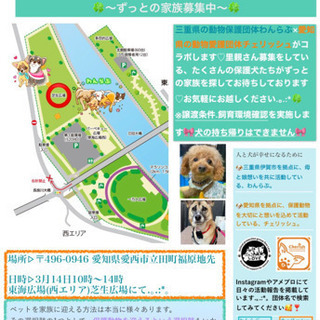 保護犬ご縁探し会IN愛知県東海広場