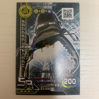 中古パラワンオオヒラタクワガタが無料 格安で買える ジモティー