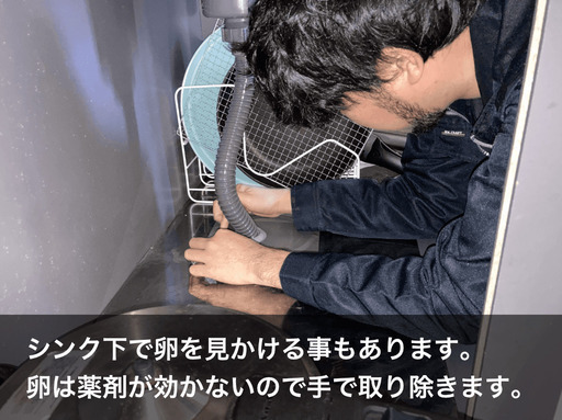 大手駆除業者に勤めてました ゴキブリ予防駆除17 000円 1r 1k 駆除コッコ 座間のゴキブリ駆除の無料広告 無料掲載の掲示板 ジモティー