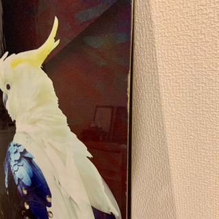 CAPITA  BIRDS OF A FEATHER