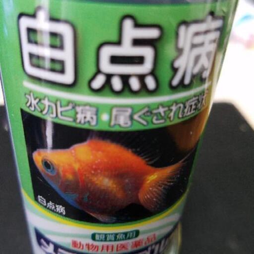 メチレンブルー水溶液メダカ 金魚 まさと 小岩のその他の中古あげます 譲ります ジモティーで不用品の処分