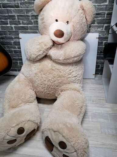 良品 ビッグベアー Big Bear くま ぬいぐるみ コストコ 熊 巨大 大きい くまの人形 テディベア クマ おもちゃ コレクション エコ ラポール 豊橋のおもちゃ ぬいぐるみ の中古あげます 譲ります ジモティーで不用品の処分