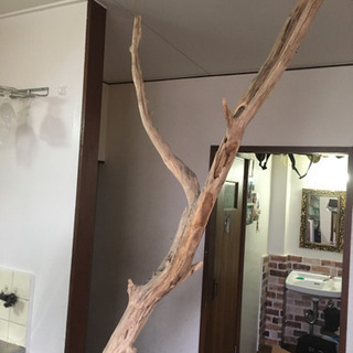 大阪府の中古流木が無料 格安で買える ジモティー