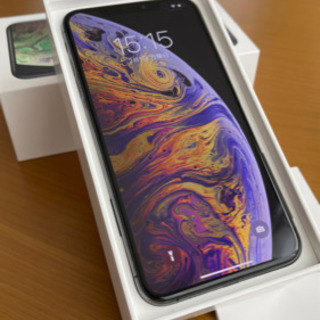 iPhone Xs Max Space Gray 256 GB ...
