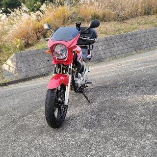 限定!YAMAHA.YBR250レッド！ビキニカウル付★ 限定!YAMAHA.YBR250レッド！ビキニカウル付☆