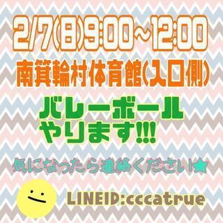 2/7(日)バレーボールやります❕誰でも参加可能🎶