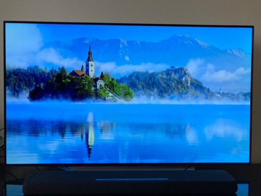 LG OLED55C7P 有機ELテレビ　55型