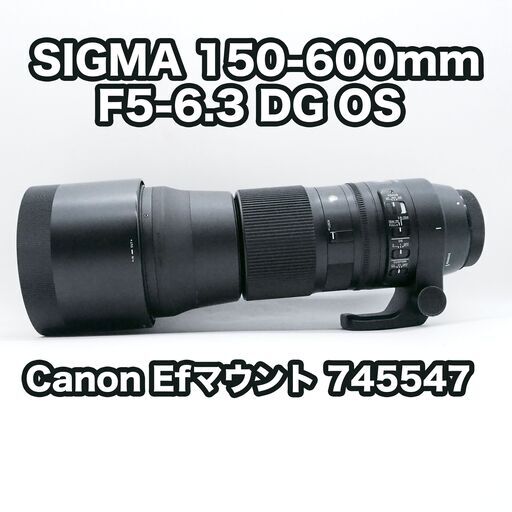 SIGMA 150-600mm F5-6.3 DG OS Canon Efマウント