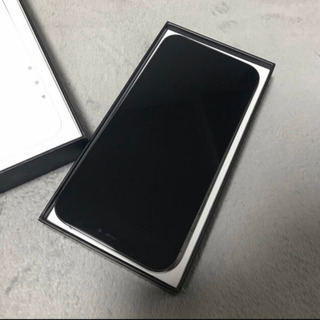 iPhone12Pro MAX 512GB （docomo）